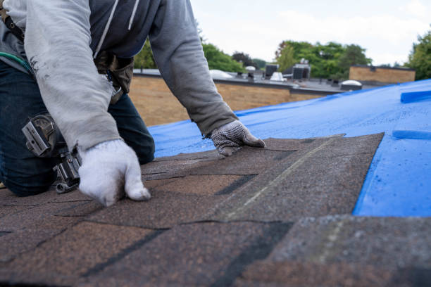 Best Gutter Installation and Repair  in Warrenton, VA